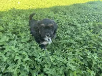 processed/6c3afbf8-853d-4e18-8abb-4898435ad966/listing/eb289e69-4c50-4b98-8ad3-30c4881928bc/716c7954-bc2a-4a74-b6f6-e4e28dab65cd