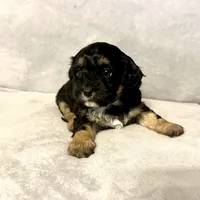 processed/6c3afbf8-853d-4e18-8abb-4898435ad966/listing/eb289e69-4c50-4b98-8ad3-30c4881928bc/7629e27e-b8ae-4ee9-963f-fd06d3a6a8a6