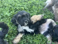 processed/6c3afbf8-853d-4e18-8abb-4898435ad966/listing/eb289e69-4c50-4b98-8ad3-30c4881928bc/7d6593ec-d227-4e63-b07a-76444bd93c3b