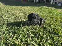 processed/6c3afbf8-853d-4e18-8abb-4898435ad966/listing/eb289e69-4c50-4b98-8ad3-30c4881928bc/bce52c7e-09e8-4183-9d17-e0b65bf75581