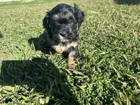 processed/6c3afbf8-853d-4e18-8abb-4898435ad966/listing/eb289e69-4c50-4b98-8ad3-30c4881928bc/c3a8d4c1-e03a-4813-8251-edd715eee90d