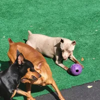 processed/6c42c87d-29df-48f2-a263-bf12244fc984/facility/1d163d4a-fb57-4842-ab92-4841e6aca709