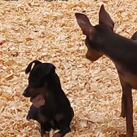 processed/6c42c87d-29df-48f2-a263-bf12244fc984/facility/2ced5b1e-c40f-4214-99ea-c6a7bbbefd10