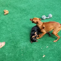 processed/6c42c87d-29df-48f2-a263-bf12244fc984/facility/6fd674f2-191d-4cdb-aaa6-1aaee2ff59b0