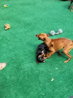 processed/6c42c87d-29df-48f2-a263-bf12244fc984/facility/6fd674f2-191d-4cdb-aaa6-1aaee2ff59b0