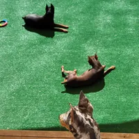 processed/6c42c87d-29df-48f2-a263-bf12244fc984/facility/72c87cf6-66a5-4d77-96af-d7b35a892219