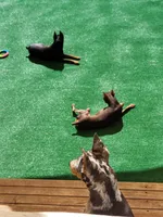 processed/6c42c87d-29df-48f2-a263-bf12244fc984/facility/72c87cf6-66a5-4d77-96af-d7b35a892219