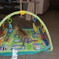 processed/6c42c87d-29df-48f2-a263-bf12244fc984/facility/7b3f94bf-4af8-420e-9e61-2a105b2e7db8