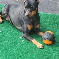 processed/6c42c87d-29df-48f2-a263-bf12244fc984/facility/7e3e8f6e-b182-4b11-bb18-3f5c858e9b10