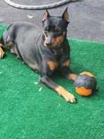 processed/6c42c87d-29df-48f2-a263-bf12244fc984/facility/7e3e8f6e-b182-4b11-bb18-3f5c858e9b10