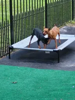 processed/6c42c87d-29df-48f2-a263-bf12244fc984/facility/b6aa8dc2-433d-40b7-9167-9aa31afc1659