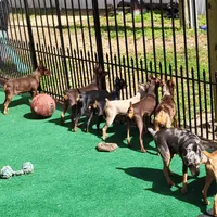 processed/6c42c87d-29df-48f2-a263-bf12244fc984/facility/cd26ef59-3e28-432e-bea0-d8750b7d9c8a