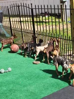 processed/6c42c87d-29df-48f2-a263-bf12244fc984/facility/cd26ef59-3e28-432e-bea0-d8750b7d9c8a