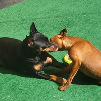 processed/6c42c87d-29df-48f2-a263-bf12244fc984/facility/e5cd541d-dd5a-48c0-8b6c-0d9de6629321