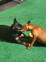 processed/6c42c87d-29df-48f2-a263-bf12244fc984/facility/e5cd541d-dd5a-48c0-8b6c-0d9de6629321