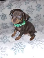 processed/6c42c87d-29df-48f2-a263-bf12244fc984/listing/3cc417f3-73be-4882-8bf7-22e74b3e7146/090dd2be-8c08-4963-a64a-0d338e1abb58