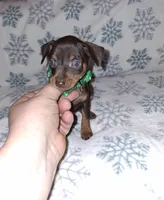 processed/6c42c87d-29df-48f2-a263-bf12244fc984/listing/3cc417f3-73be-4882-8bf7-22e74b3e7146/c3014bb2-6d78-409c-ae1d-c4a51c83809f