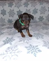 processed/6c42c87d-29df-48f2-a263-bf12244fc984/listing/3cc417f3-73be-4882-8bf7-22e74b3e7146/eba66fa6-d6e7-4787-9c84-3002612ba5e0