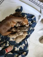 processed/6c4a4025-6032-4ed7-af23-c8c7ef6b0ad7/facility/07ce94fa-5a9d-47f9-b8a6-05fd95cd7abf