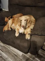 processed/6c4a4025-6032-4ed7-af23-c8c7ef6b0ad7/facility/595a222c-0542-4dcd-ba0c-fb224a02d044