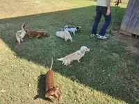 processed/6c4a4025-6032-4ed7-af23-c8c7ef6b0ad7/facility/5d2a0470-633d-4f1d-bfb6-5c03e0807c54