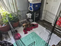 processed/6c4a4025-6032-4ed7-af23-c8c7ef6b0ad7/facility/7e5293ba-f62f-4bb6-a61f-7c67e1cd0de6