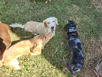 processed/6c4a4025-6032-4ed7-af23-c8c7ef6b0ad7/facility/cc20d1cf-8020-4f02-bba5-180d3504574b