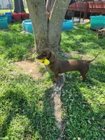 processed/6c4a4025-6032-4ed7-af23-c8c7ef6b0ad7/facility/edc87c18-82fc-4b8e-92f3-12d2a2244fcc