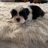 processed/6c4c02c8-43c1-4a0b-8f2a-749ecfa1606f/listing/b1e01b73-7229-4f00-ba05-a007dd8d4458/a979570b-bd61-4f45-b58a-3a416c251c95