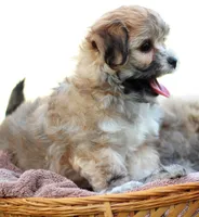 processed/6c564c0d-c837-4407-b48e-e63b971c620e/facility/0ee6f3b7-c4e5-4246-a7f9-700239090184