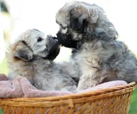 processed/6c564c0d-c837-4407-b48e-e63b971c620e/facility/34925ffb-29e9-4478-a3f7-a8a1a9430fb5