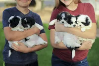 processed/6c564c0d-c837-4407-b48e-e63b971c620e/facility/360a7cfe-ed86-42b1-a418-38d79186a553