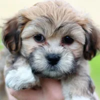 processed/6c564c0d-c837-4407-b48e-e63b971c620e/facility/43924d32-0fa6-4903-a290-7f0cfae030f5