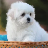 processed/6c564c0d-c837-4407-b48e-e63b971c620e/facility/4e3daf44-cd3f-4779-8a02-061f1f3bf456