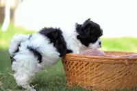 processed/6c564c0d-c837-4407-b48e-e63b971c620e/facility/64229f70-1074-4395-ae8a-6be6a4d3b5fc