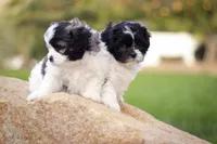 processed/6c564c0d-c837-4407-b48e-e63b971c620e/facility/944aa0ae-f5a8-46d6-bffd-72e9560e9454