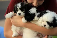 processed/6c564c0d-c837-4407-b48e-e63b971c620e/facility/a68079b8-7678-4a34-87c3-5c7d2449d5c9