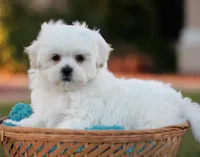 processed/6c564c0d-c837-4407-b48e-e63b971c620e/facility/eeeeebb8-d066-45d5-8358-1ceb8d50a63f