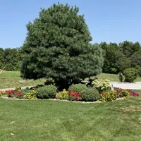 processed/6c56d0cf-7393-4694-9b8d-5b26355e19ff/facility/9c515c02-bb9e-4cf5-84f9-6e2db85817b8