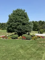 processed/6c56d0cf-7393-4694-9b8d-5b26355e19ff/facility/9c515c02-bb9e-4cf5-84f9-6e2db85817b8