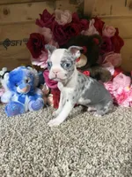 processed/6c594b11-6450-4a0c-8cbb-5213da1f207b/listing/251d285f-6333-492c-b23e-fc220a9d7ddb/32113697-b938-4b88-be06-a72721d465d3