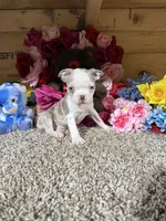 processed/6c594b11-6450-4a0c-8cbb-5213da1f207b/listing/41c8e94c-b685-4213-b712-b8df3cc29196/813dd87c-52f2-4df3-ba69-ac8140cedb9f