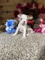 processed/6c594b11-6450-4a0c-8cbb-5213da1f207b/listing/41c8e94c-b685-4213-b712-b8df3cc29196/cc9533f0-f1f9-46f2-8ba2-0491879c19ad