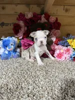 processed/6c594b11-6450-4a0c-8cbb-5213da1f207b/listing/41c8e94c-b685-4213-b712-b8df3cc29196/ec37d957-8d49-45dc-9a2c-9ab8f7ae86cb