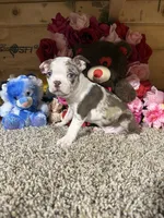 processed/6c594b11-6450-4a0c-8cbb-5213da1f207b/listing/66227472-51cd-4ad0-b43d-92aac6f0a213/4c206a02-b2a3-41e4-96db-ae8c30cd8e53