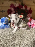 processed/6c594b11-6450-4a0c-8cbb-5213da1f207b/listing/66227472-51cd-4ad0-b43d-92aac6f0a213/58baf855-64e6-48a1-9bd0-d1b523066043