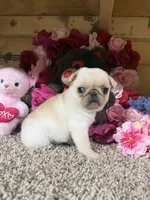 processed/6c594b11-6450-4a0c-8cbb-5213da1f207b/listing/864bd64d-ba2b-4742-893e-8a1891ab0561/10090d76-4332-4b5b-9e9c-0578be2f4251