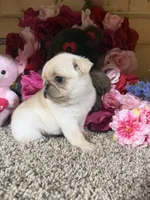 processed/6c594b11-6450-4a0c-8cbb-5213da1f207b/listing/864bd64d-ba2b-4742-893e-8a1891ab0561/19b819d8-0ab7-48d2-bea3-d625786b7008