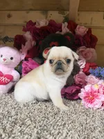 processed/6c594b11-6450-4a0c-8cbb-5213da1f207b/listing/864bd64d-ba2b-4742-893e-8a1891ab0561/1cec957a-e17c-4799-8691-a471d34c6051