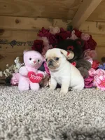 processed/6c594b11-6450-4a0c-8cbb-5213da1f207b/listing/864bd64d-ba2b-4742-893e-8a1891ab0561/1e9283e6-8c5d-4277-a787-385b14bb60e0